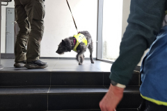 1_20260215_123843-002